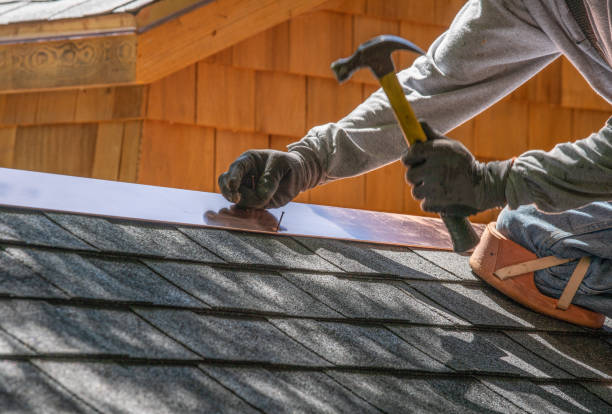 Best Roof Maintenance and Cleaning  in Chariton, IA