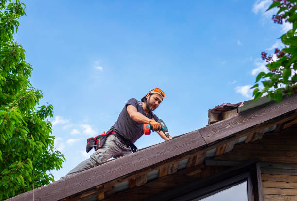 Best Solar Panel Roofing Installation  in Chariton, IA